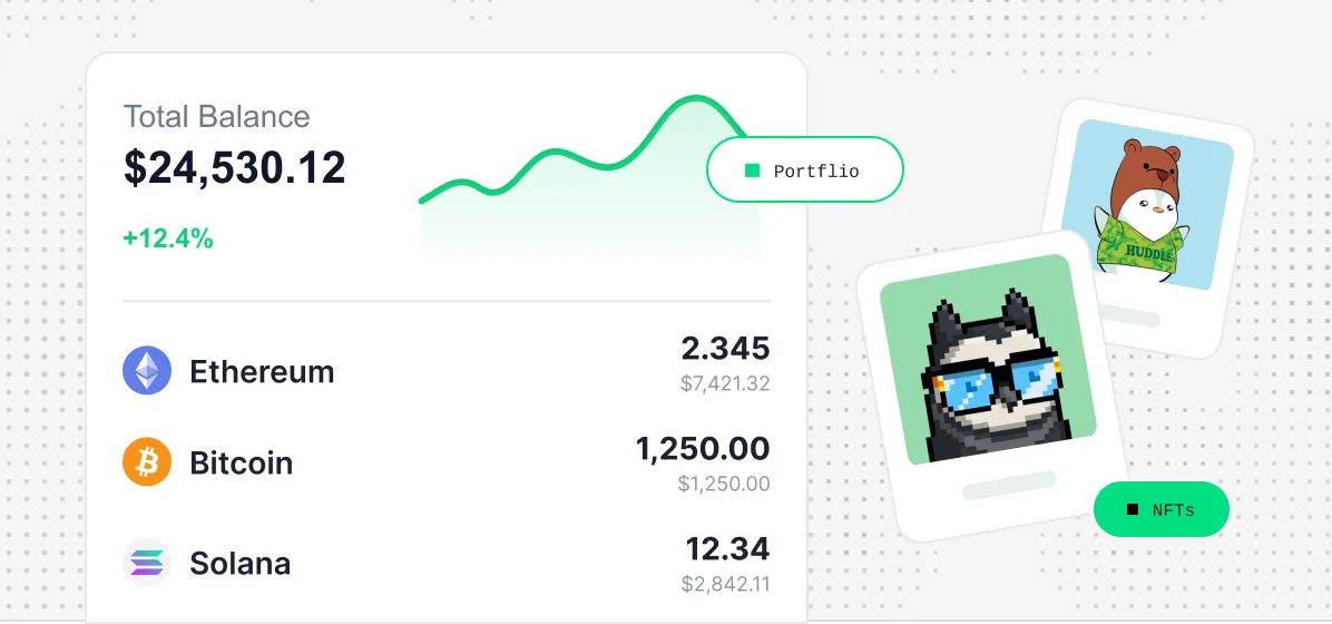 Portfolio view with token balances and NFT holdings